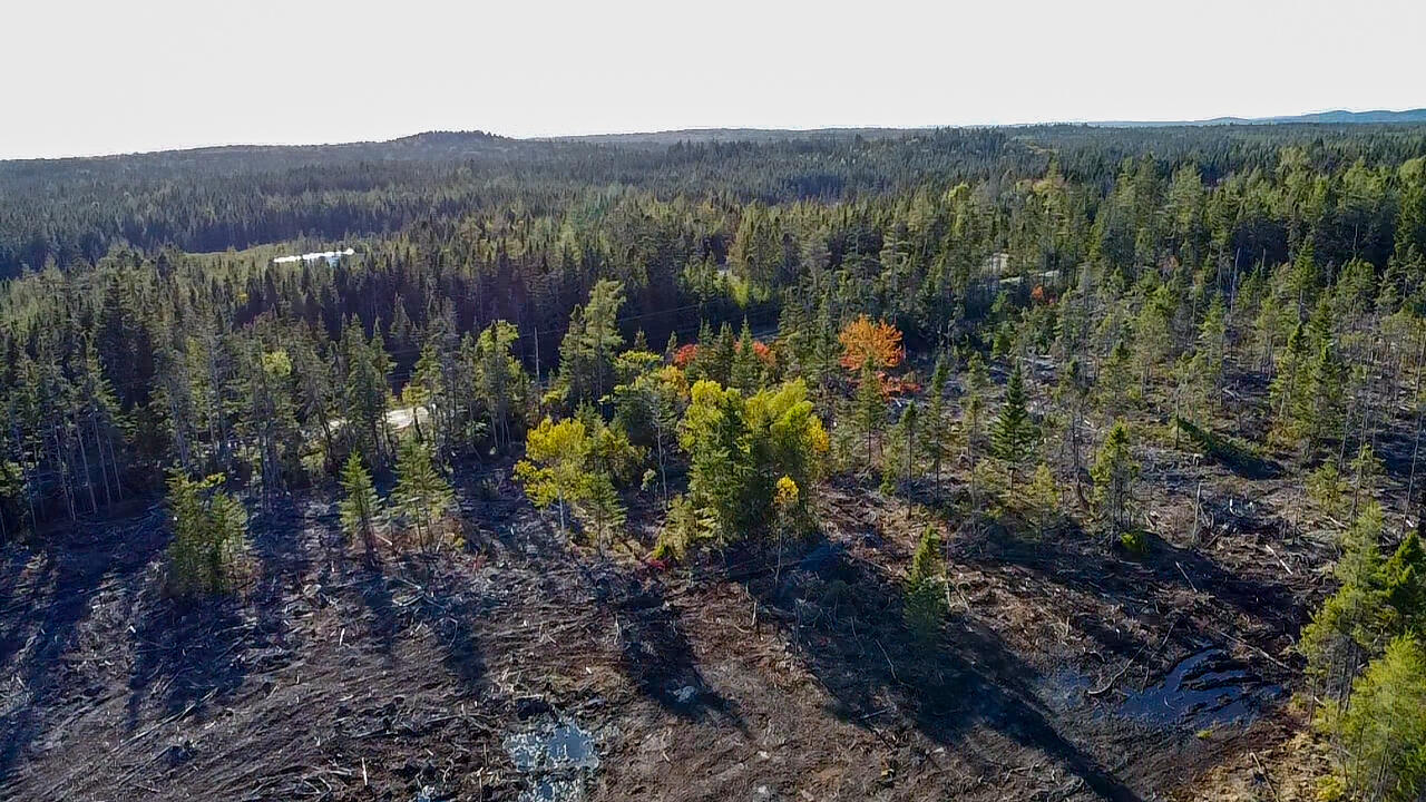 06 Lots Road Cutler, ME 04626 - Photo 13 of 23 aerial view