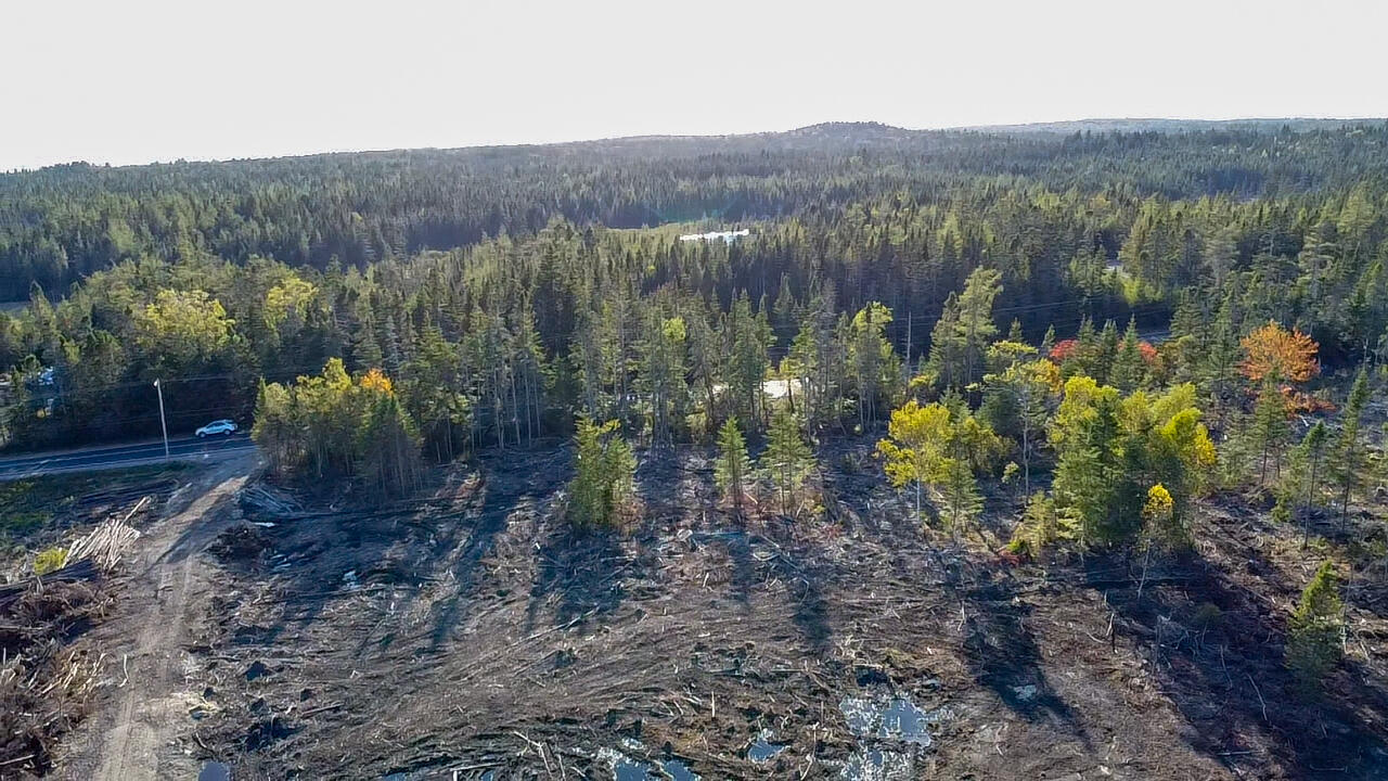 06 Lots Road Cutler, ME 04626 - Photo 14 of 23 aerial view