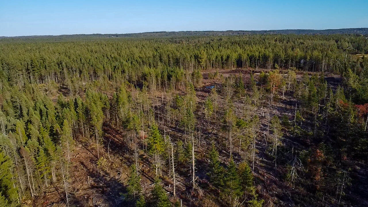 06 Lots Road Cutler, ME 04626 - Photo 15 of 23 aerial view