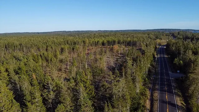 $75,000 | 06 Lots Road, Cutler, ME 04626