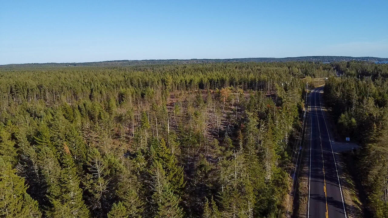 06 Lots Road Cutler, ME 04626 - Photo 16 of 23 aerial view