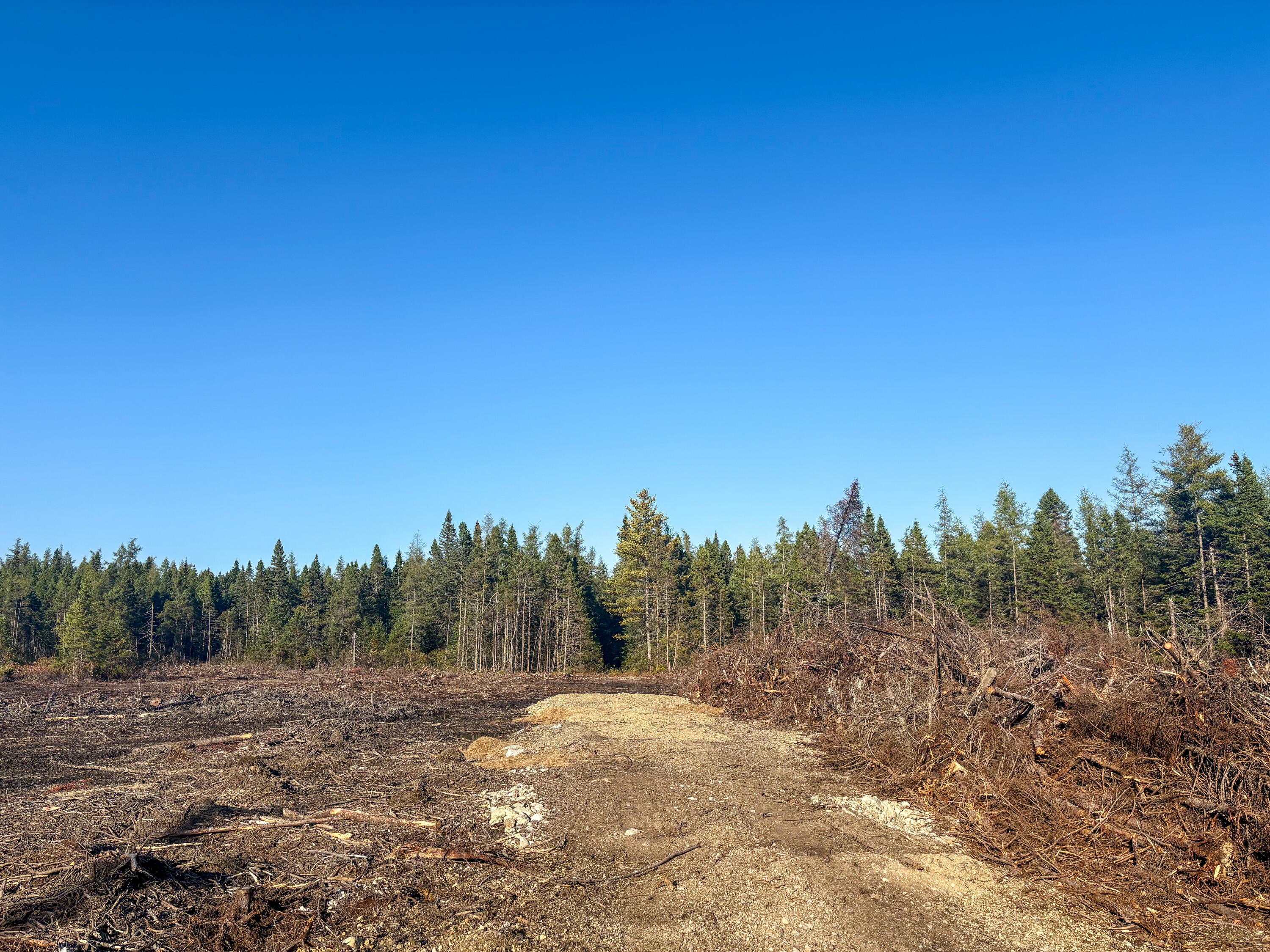 06 Lots Road Cutler, ME 04626 - Photo 19 of 23 driveway