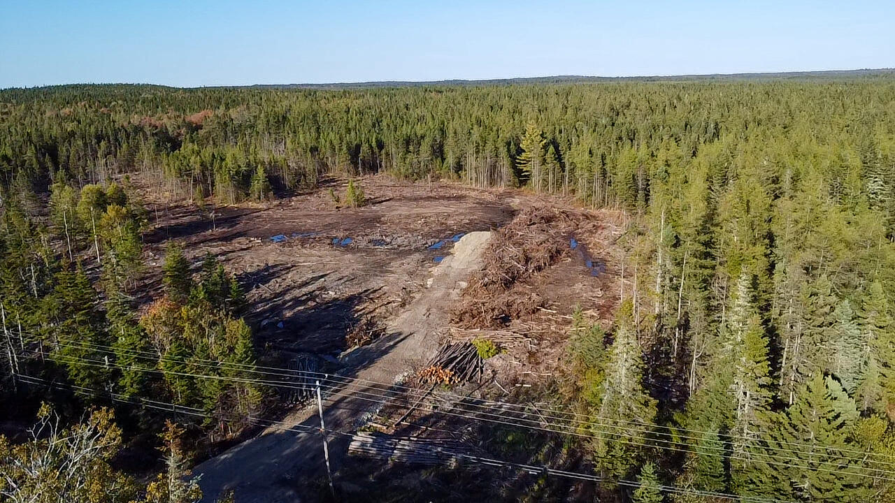 06 Lots Road Cutler, ME 04626 - Photo 2 of 23 aerial view