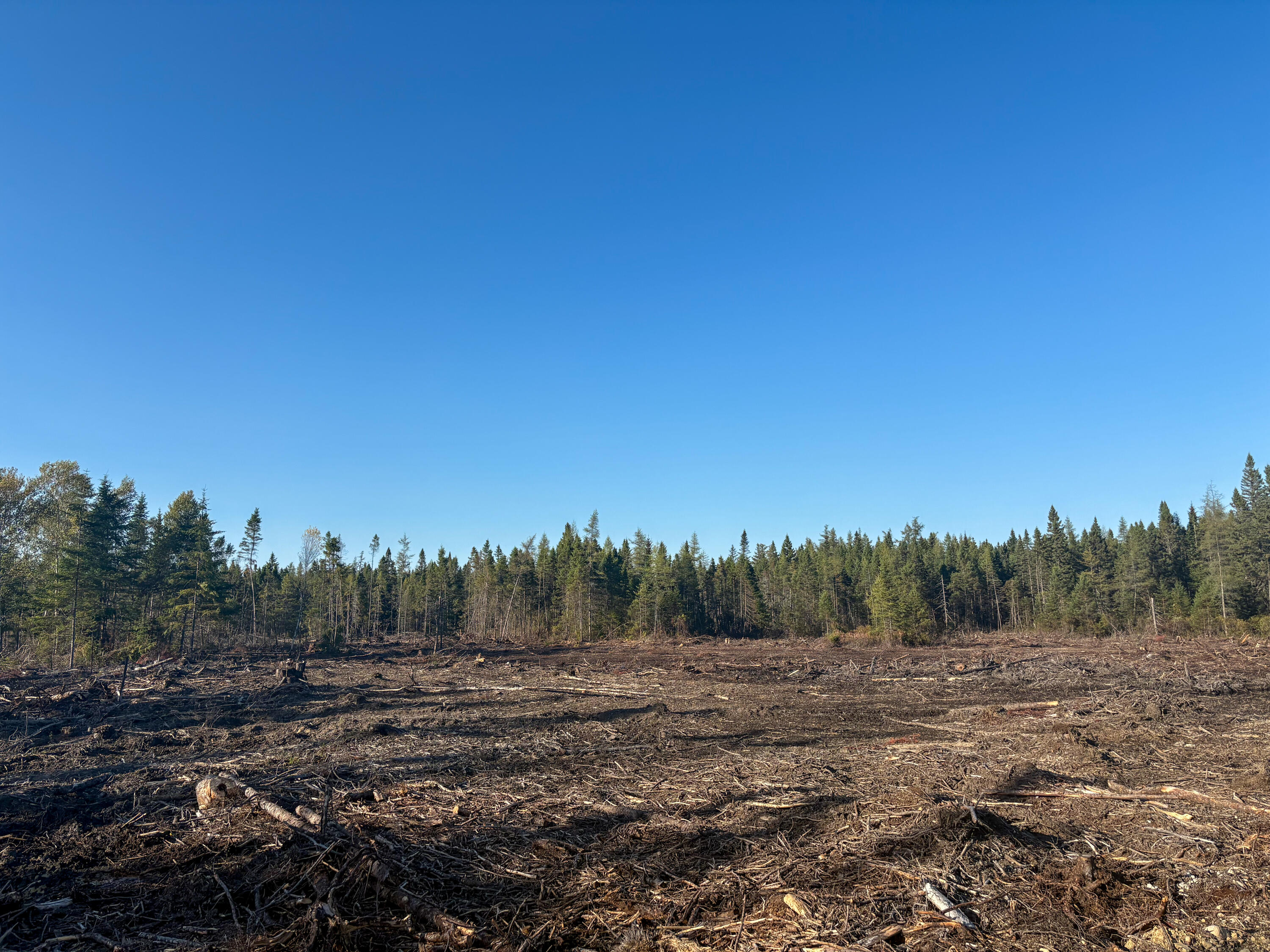06 Lots Road Cutler, ME 04626 - Photo 21 of 23 left side view of property from driveway