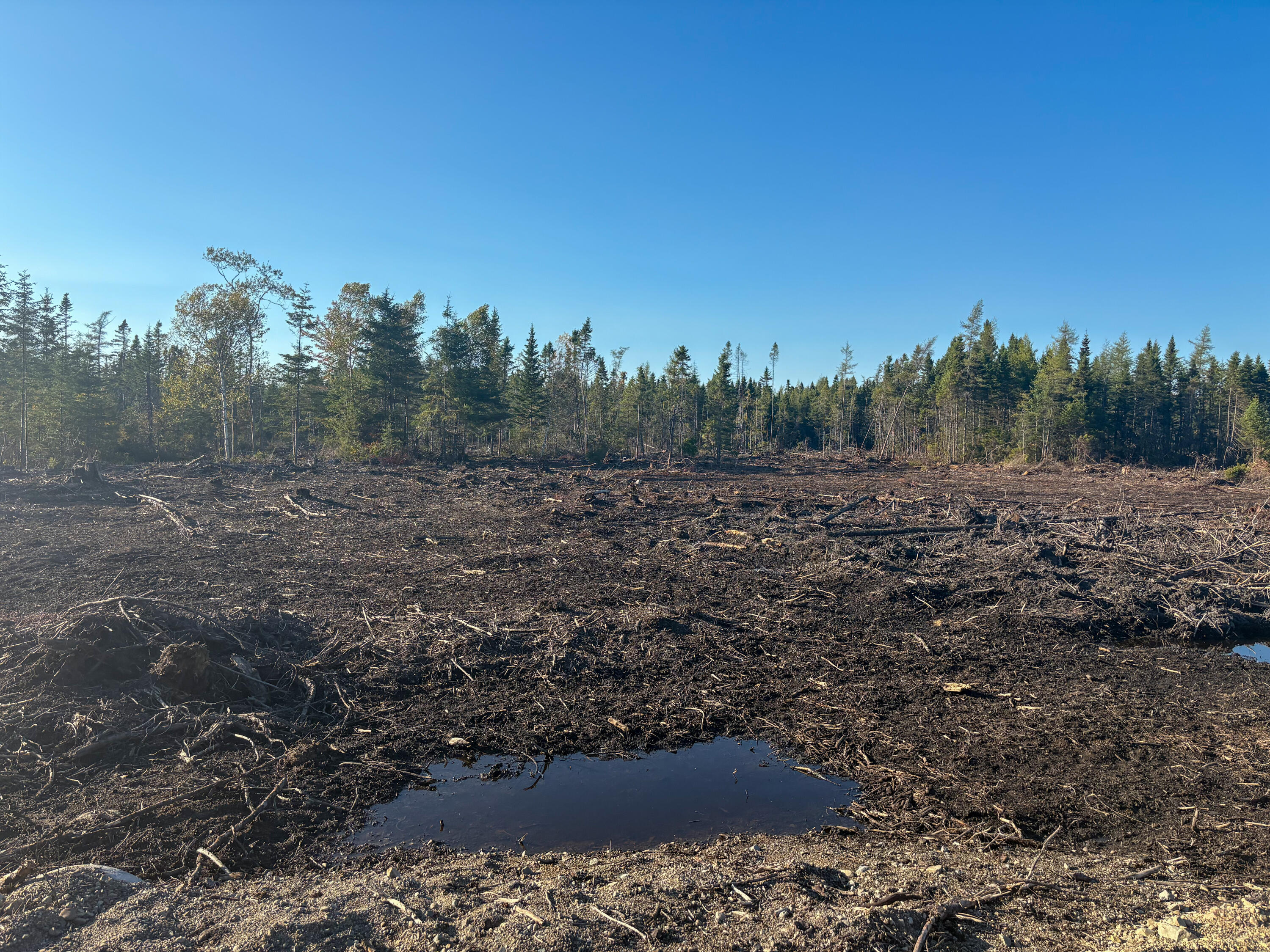 06 Lots Road Cutler, ME 04626 - Photo 23 of 23 left side view of property from driveway