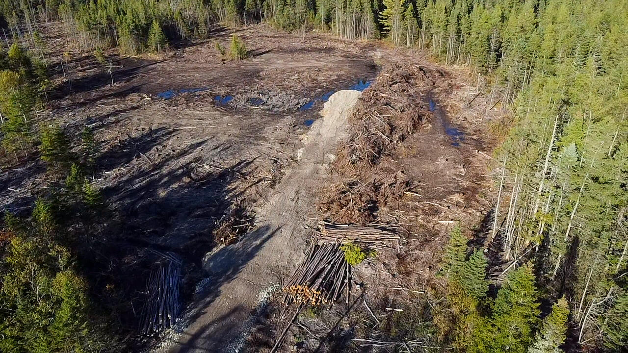 06 Lots Road Cutler, ME 04626 - Photo 3 of 23 aerial view