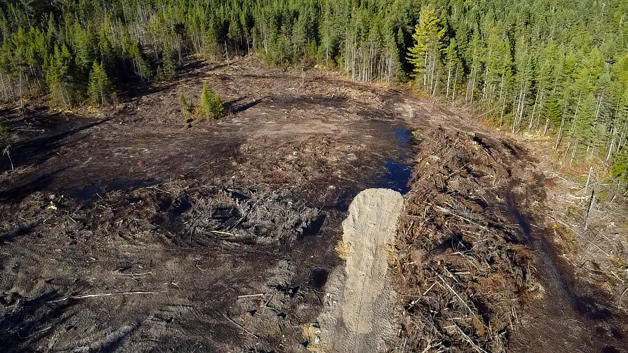 06 Lots Road Cutler, ME 04626 - Photo 4 of 23 aerial view