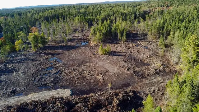 $75,000 | 06 Lots Road, Cutler, ME 04626