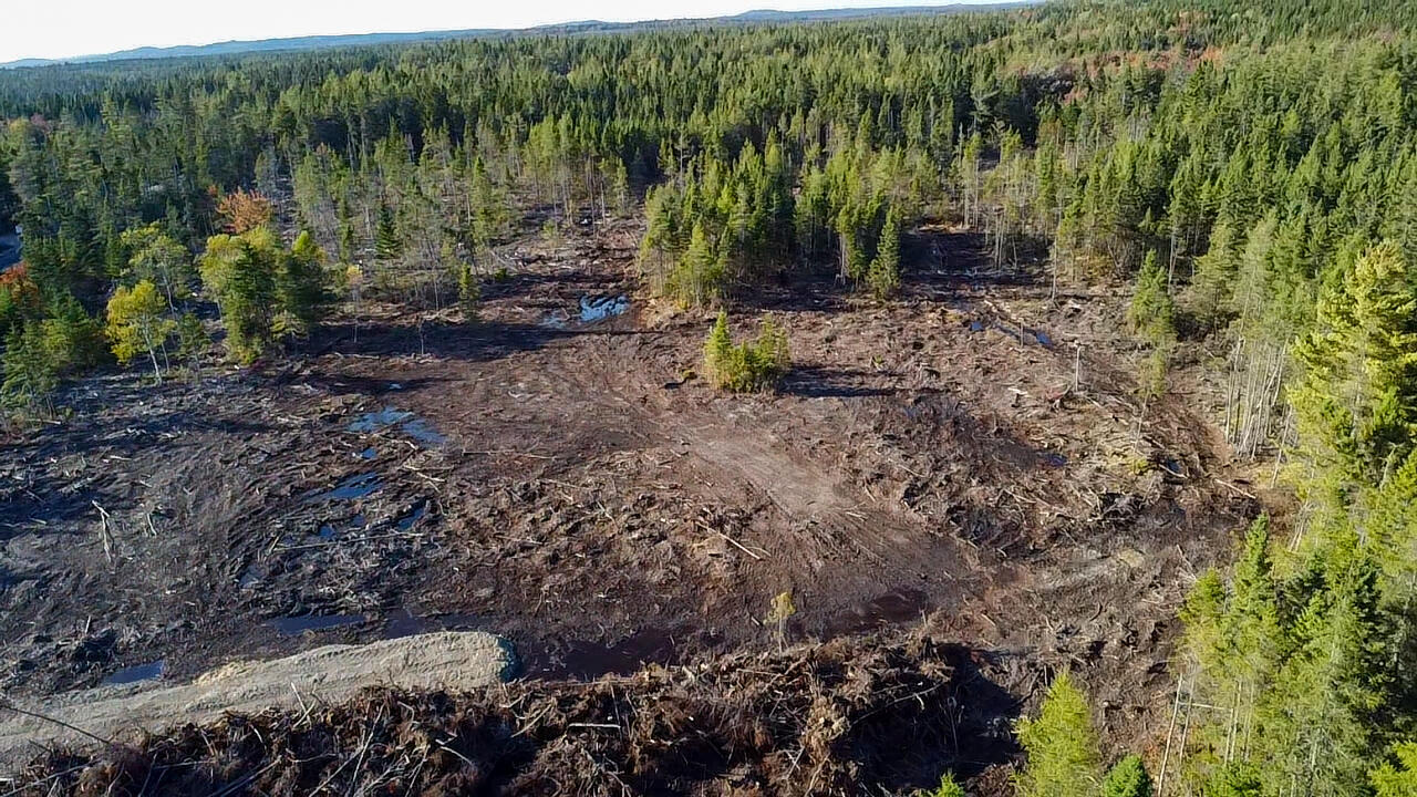 06 Lots Road Cutler, ME 04626 - Photo 5 of 23 aerial view