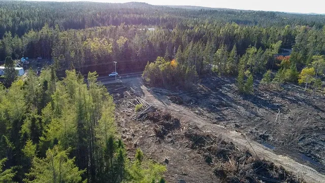 $75,000 | 06 Lots Road, Cutler, ME 04626