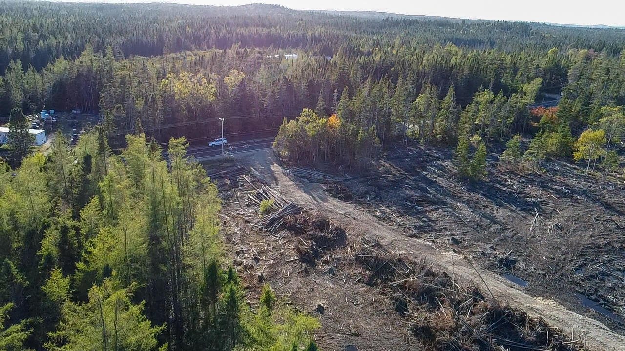 06 Lots Road Cutler, ME 04626 - Photo 6 of 23 aerial view
