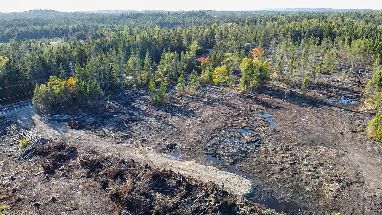 06 Lots Road Cutler, ME 04626 - Photo 7 of 23 aerial view