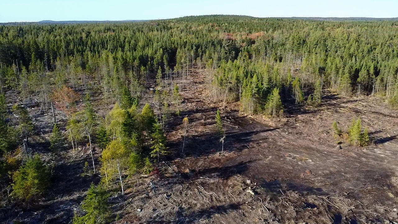 06 Lots Road Cutler, ME 04626 - Photo 8 of 23 aerial view