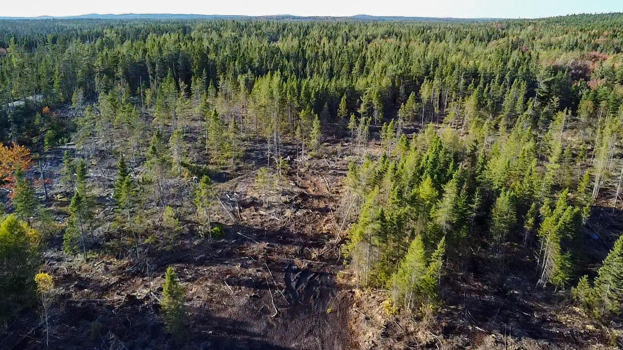06 Lots Road Cutler, ME 04626 - Photo 9 of 23 aerial view