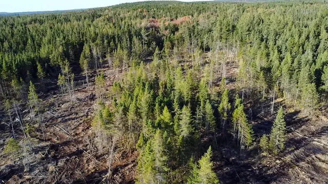 $75,000 | 06 Lots Road, Cutler, ME 04626