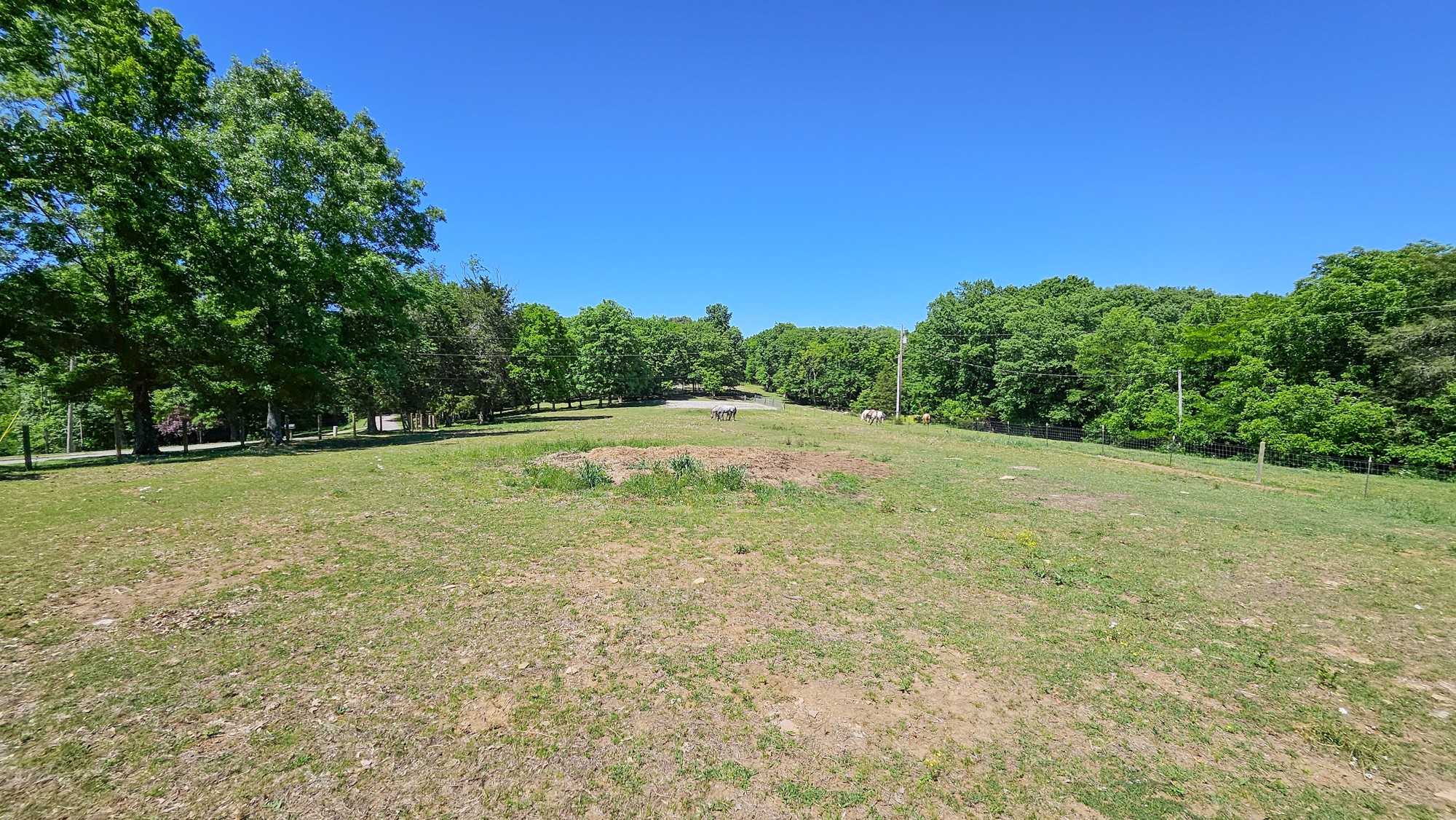 789 Holt Hollow Road Prospect, TN 38477 - Photo 51 of 69