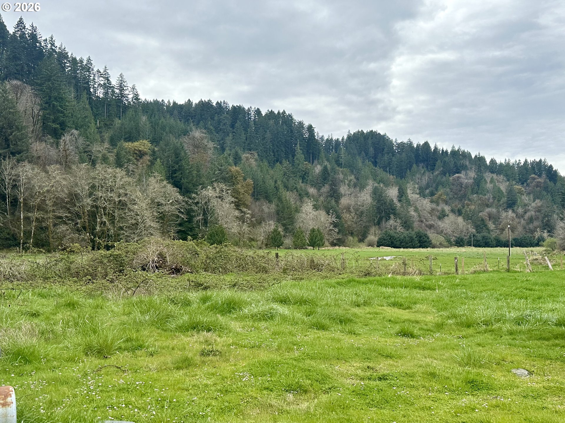 1910 Otter Slough Road Reedsport, OR 97467 - Photo 30 of 39 a big yard with lots of green space