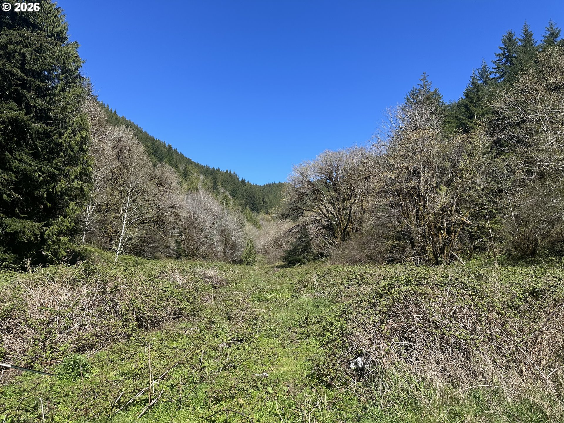 1910 Otter Slough Road Reedsport, OR 97467 - Photo 38 of 39