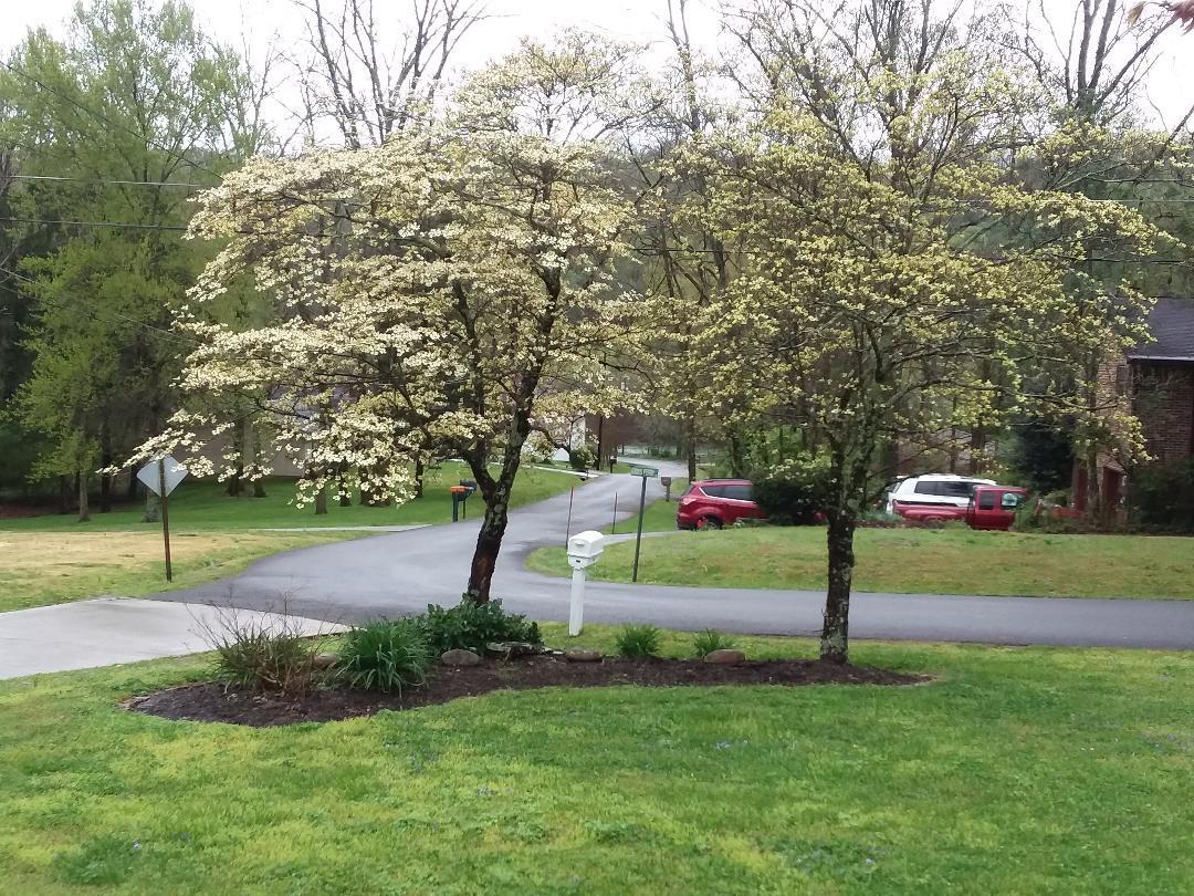 502 Gibbs Ferry Road Clinton, TN 37716 - Photo 3 of 34 Street & Landscaping