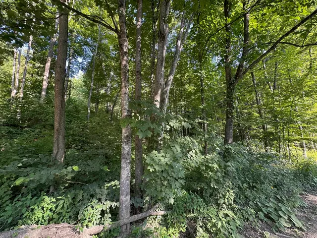 $100,000 | 90 Old Swanzey Road, Winchester, NH 03470