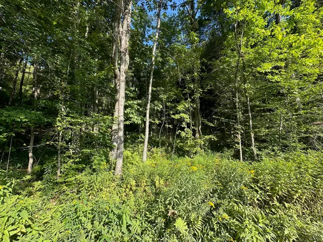 $100,000 | 90 Old Swanzey Road, Winchester, NH 03470