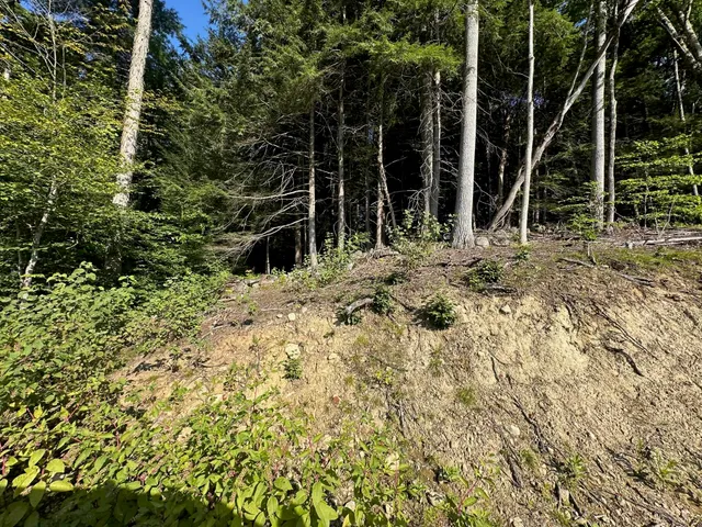 $100,000 | 90 Old Swanzey Road, Winchester, NH 03470