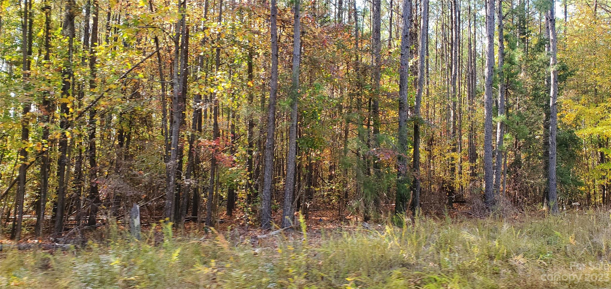 Lot 3 Foxridge Road Rock Hill, SC 29732 - Photo 2 of 6 Gallery Image 2