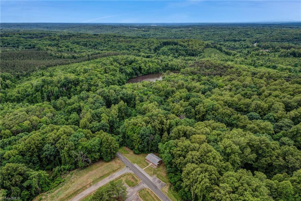 164 Tyre Dodson Road Reidsville, NC 27320 - Photo 6 of 39