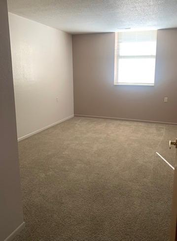 31 Chestnut Street East, Unit 5 Trimont, MN 56176 - Photo 16 of 46