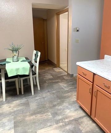31 Chestnut Street East, Unit 5 Trimont, MN 56176 - Photo 7 of 46