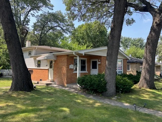 a view of a backyard with a large tree