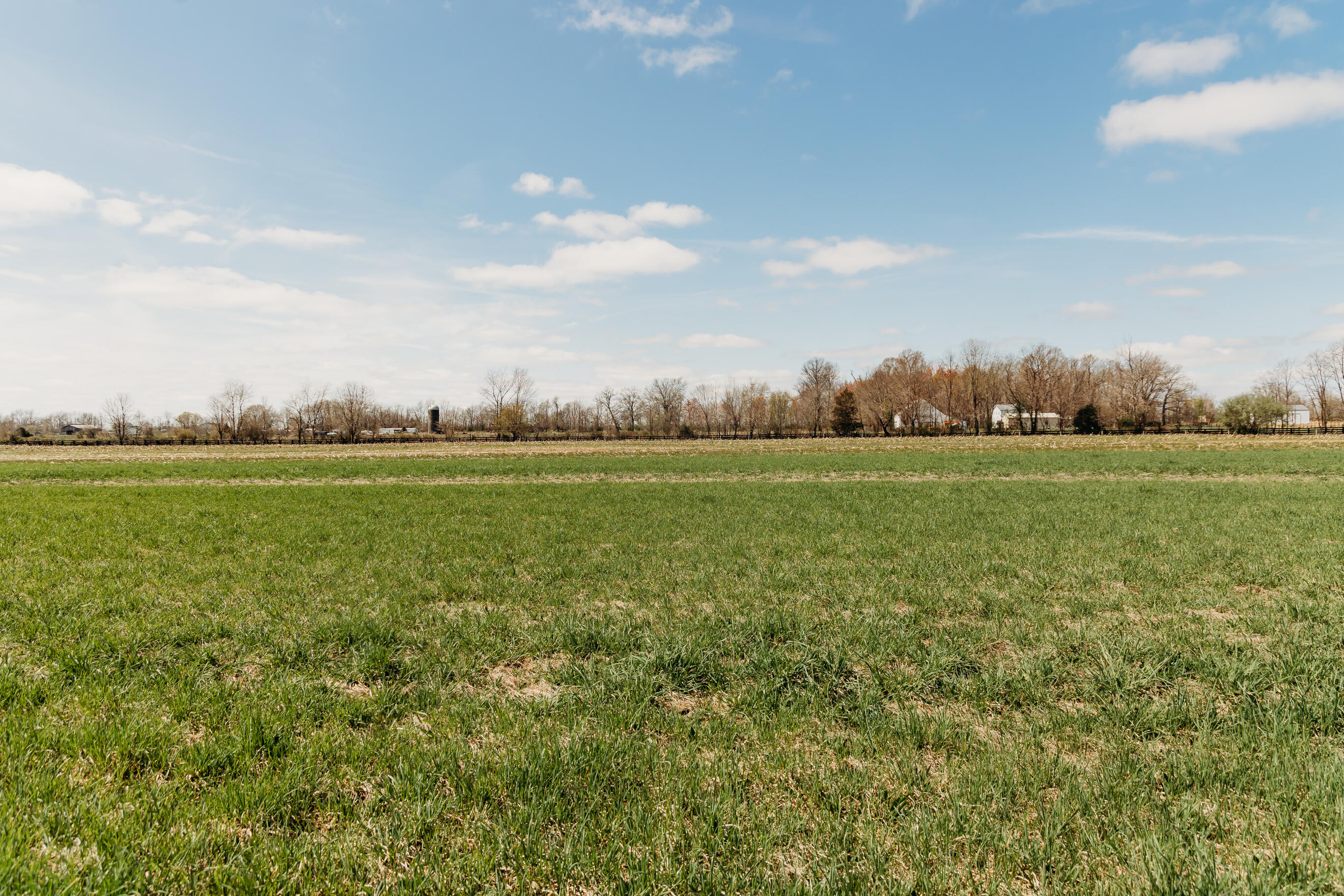 4241 Kendall Springs Road Owingsville, KY 40360 - Photo 64 of 66 Field