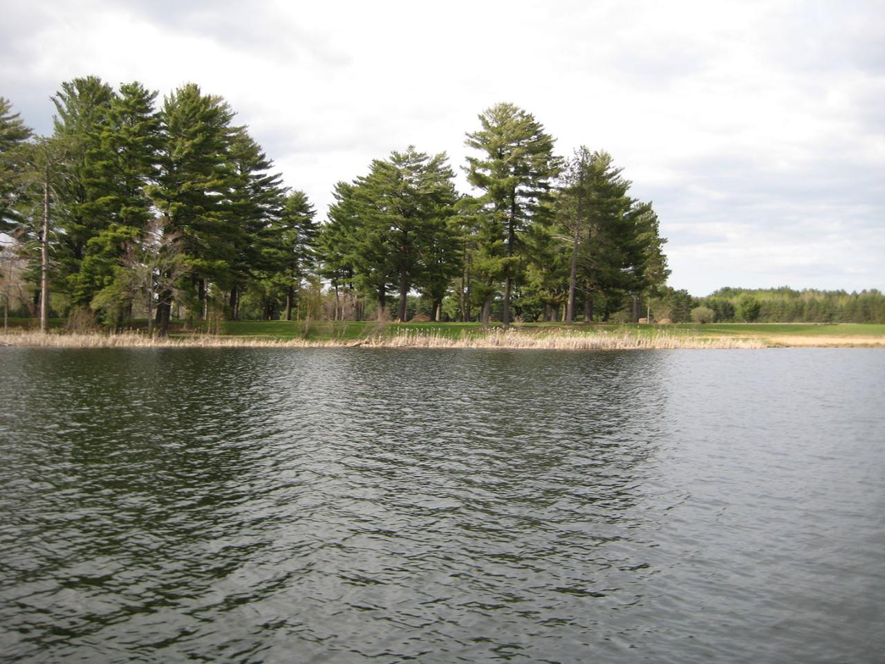 Lot #77 Loon Song Point Eagle River, WI 54521 - Photo 9 of 9 Gallery Image 9