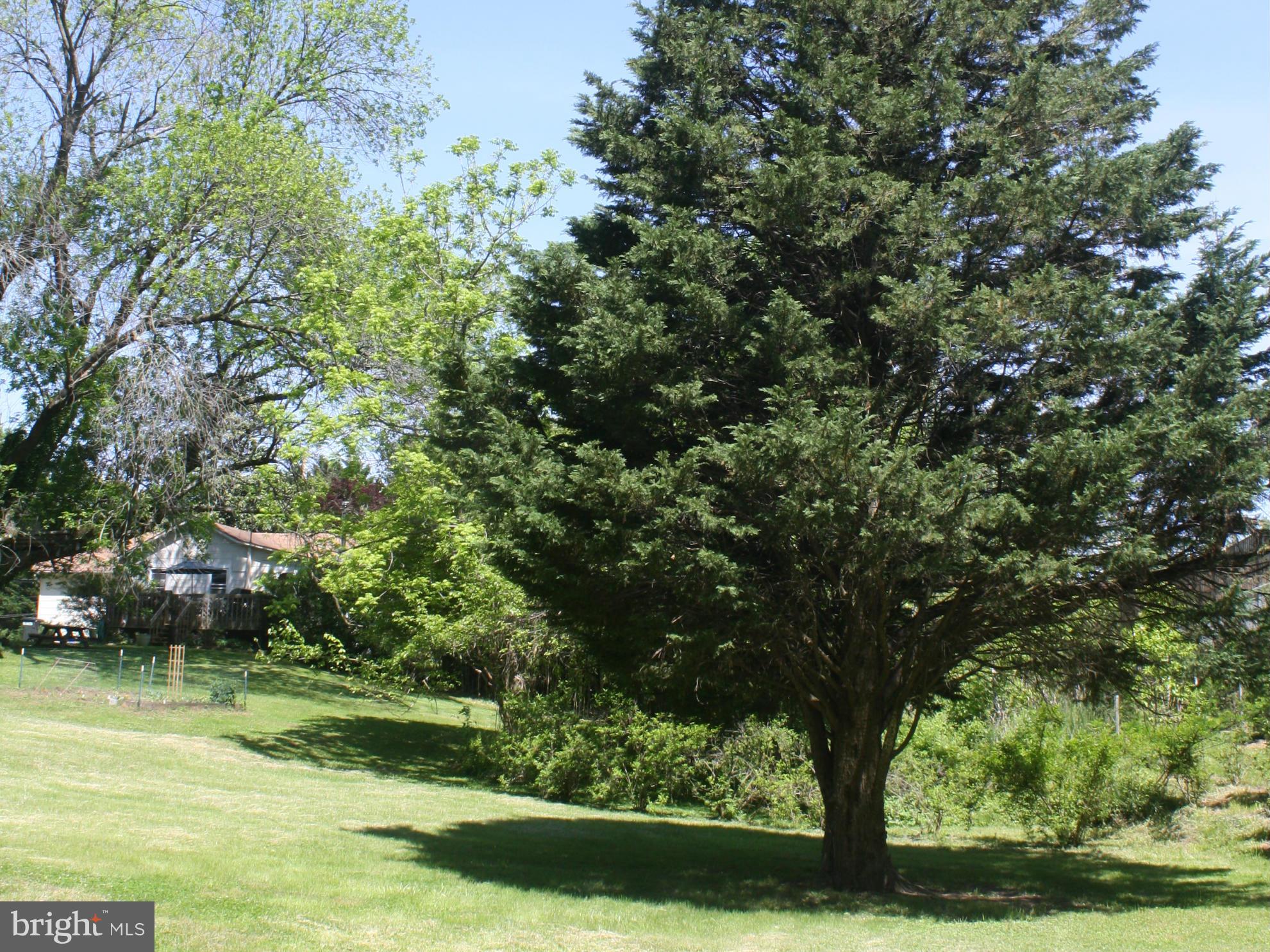 29 Arnold Road Arnold, MD 21012 - Photo 20 of 24 Exterior (General)