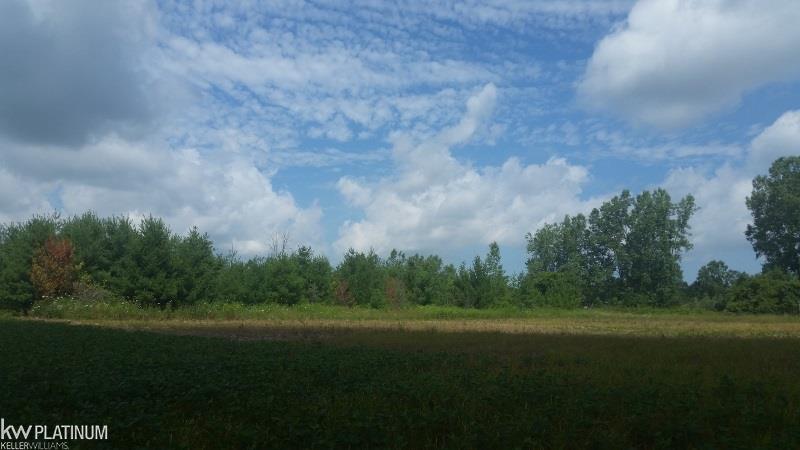 1460 North Ridge Road Carsonville, MI 48419 - Photo 27 of 49 31298281-26.JPG