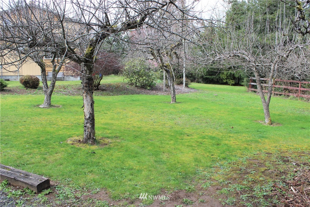 9344 Lundeen Road Southwest Rochester, WA 98579 - Photo 28 of 40 a view of a tree in a park