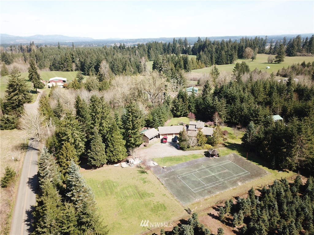 9344 Lundeen Road Southwest Rochester, WA 98579 - Photo 39 of 40 a view of a backyard with mountain view