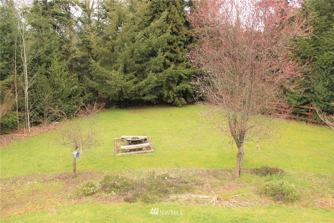 9344 Lundeen Road Southwest Rochester, WA 98579 - Photo 7 of 40 a view of ocean with large trees