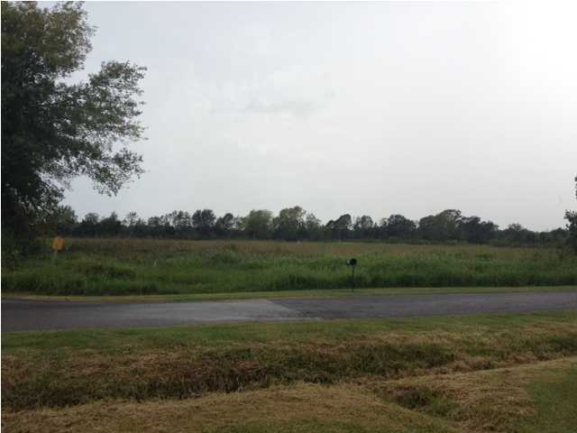 0 North Miller Road Opelousas, LA 70570 - Photo 1 of 1 Primary Photo