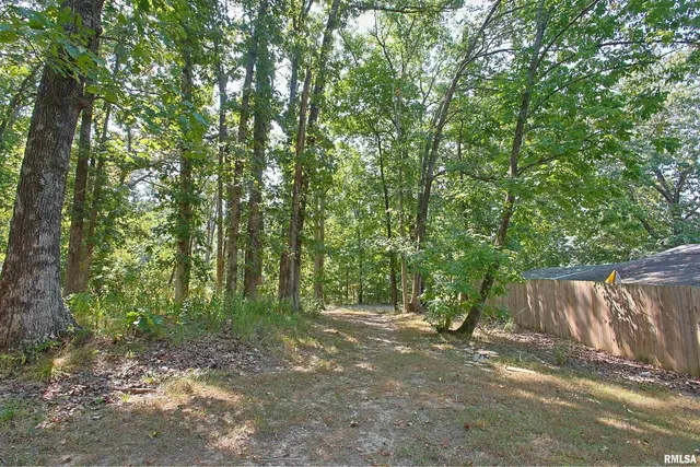 a view of backyard with green space