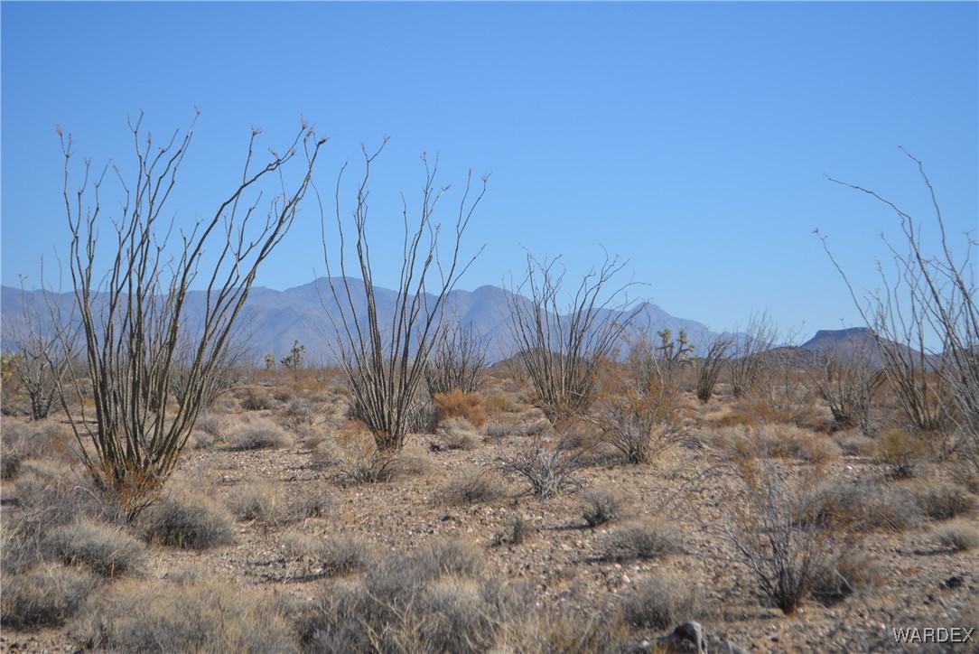 245-24-107 South Rainbow Road Yucca, AZ 86438 - Photo 14 of 91