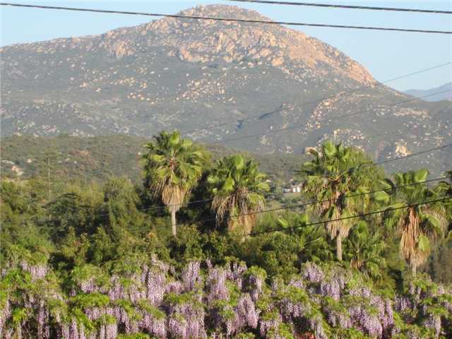 2895 Scenic View Road Alpine, CA 91901 - Photo 13 of 23 Gallery Image 13