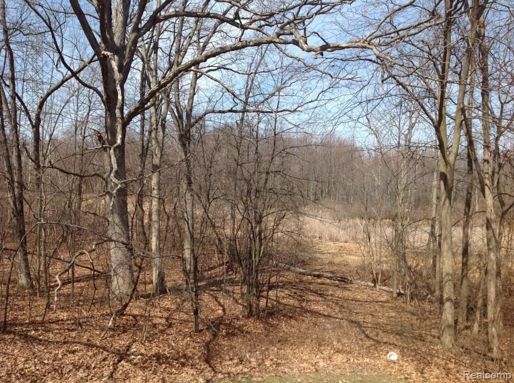 4440 Boxwood Court Rochester, MI 48306 - Photo 11 of 48 IMG_1831.jpg