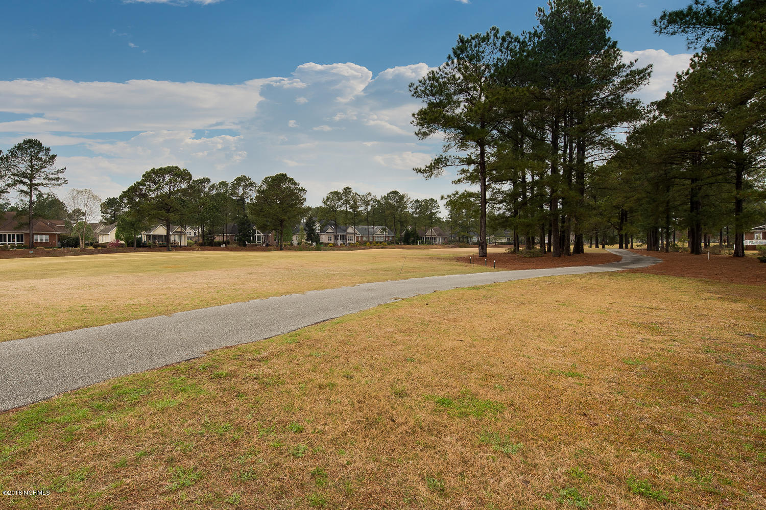 1050 Ridgemont Drive Leland, NC 28451 - Photo 28 of 62 1050 Ridgemont Dr Leland NC-large-026-1-