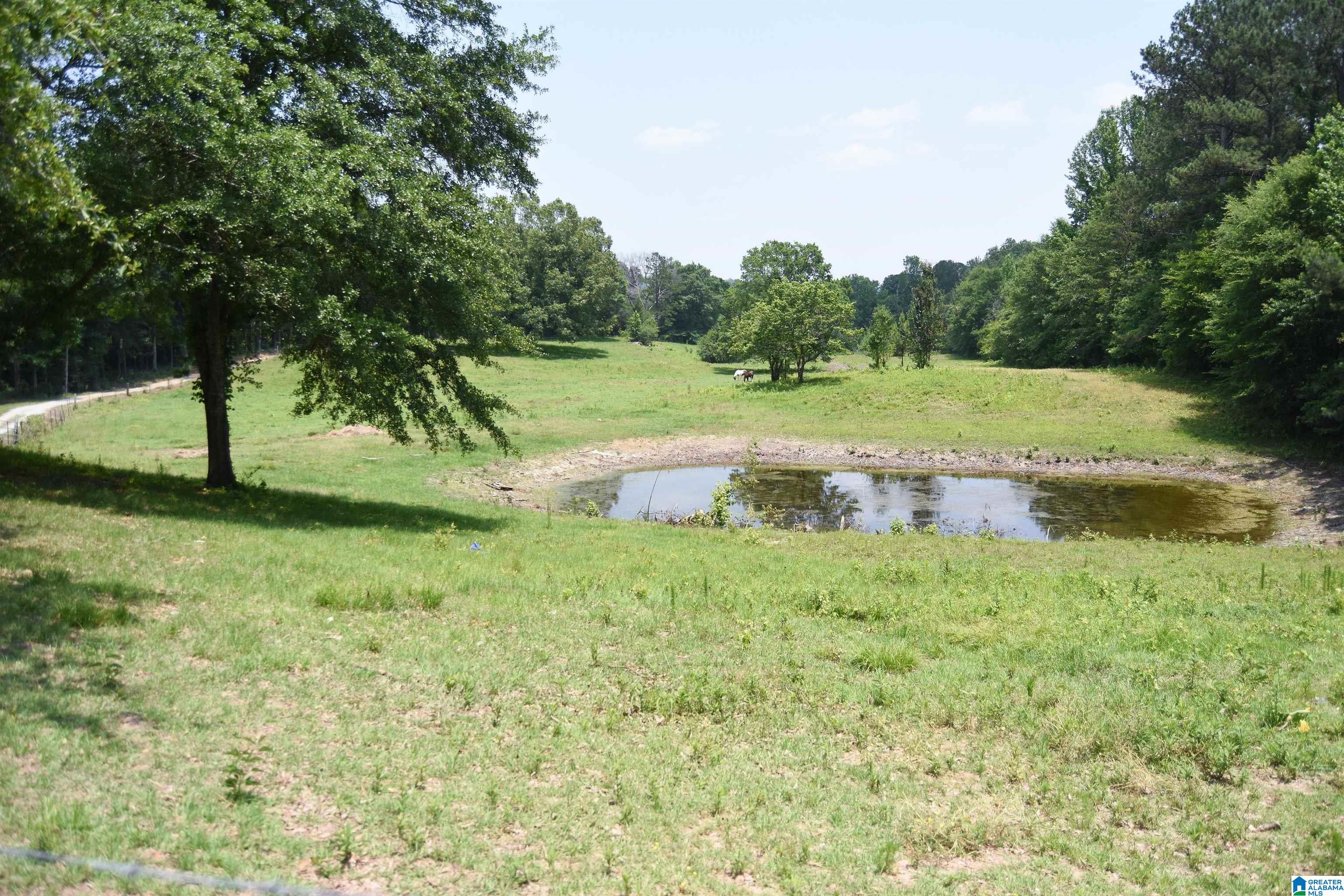 333 Shadow Lane Anniston, AL 36207 - Photo 45 of 50
