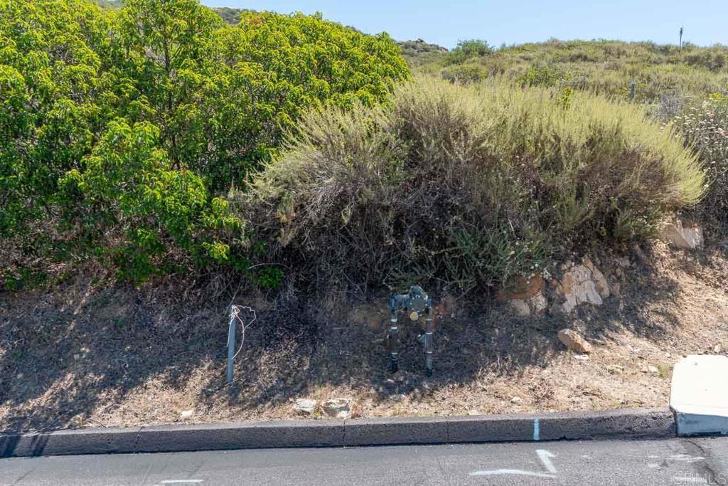 18055 Sunset Point Poway, CA 92064 - Photo 33 of 39 a view of a yard with wooden fence