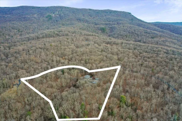 a view of a dry yard with trees and wooden fence