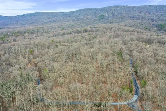 $650,000 | 308 Brush Leaf Lane, Mount Jackson, VA 22842