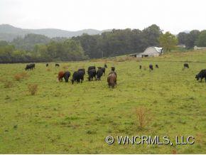 500 Whitmire Road Brevard, NC 28712 - Photo 20 of 23 Gallery Image 20