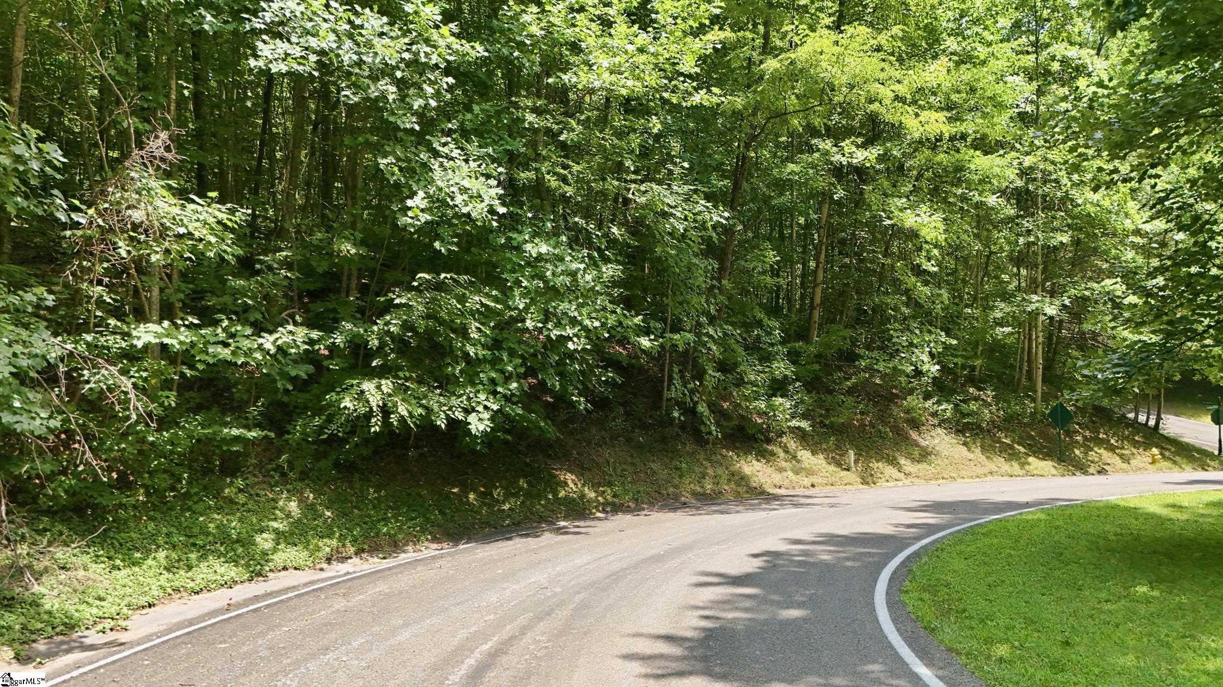 164 Catnip Trail Landrum, SC 29356 - Photo 13 of 30 Gallery Image 13